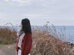 -龙头岩(Dragon Head Rock)