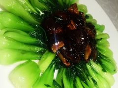 -阿英煲(凉城路店)