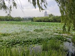 -长春市南湖公园