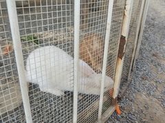 -福建鲤鱼洲酒店