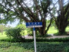 -东莞植物园