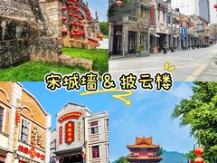 -鼎香皇高佬苏裹蒸粽