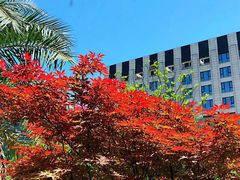 -W FITNESS 威尔仕健身·游泳(七宝店)