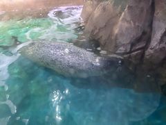 -常州海昌海洋探索馆