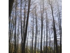 -硗碛藏寨·神木垒景区