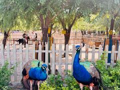 -水上乐园·欢乐世界