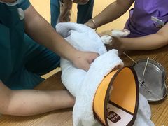-瑞派宠物医院·24小时骨科·心脏·核磁(哈尔滨南岗店)