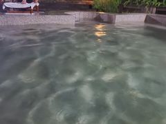 -鱼凫国都大酒店温泉