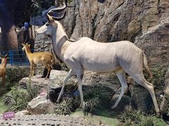 -陕西自然博物馆