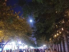 -人民防洪胜利纪念塔