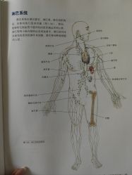 -AN普拉提女子健身工作室