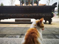 -大悲禅寺