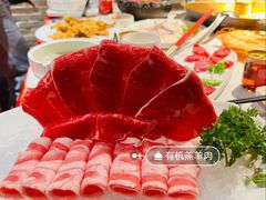 -小龙翻大江文化火锅(宽窄店)