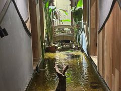 -邈墨茶馆(凤起路店)