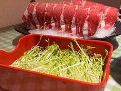 鲜活豌豆苗-番食园鲜食火锅(高新店)