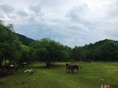 -大水川景区
