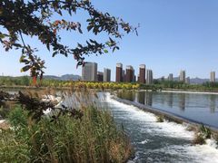 -永定河休闲森林公园