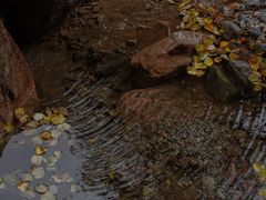 -西岭雪山大飞水景区