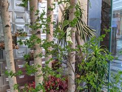 -植物学家的女儿(北马道巷店)