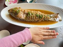 黄河大鲤鱼-食欲老院子荆芥疙瘩汤(经五路店)