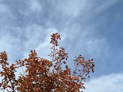 -周口店坡峰岭风景区