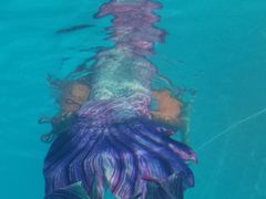 -上海潜殿潜水中心