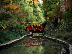 -上海共青森林公园