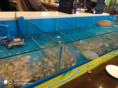 -火舞泰·泰式海鲜火锅餐厅(世纪城店)