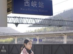 -中国西峡恐龙遗迹园