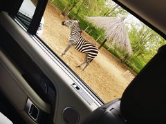 -北京野生动物园