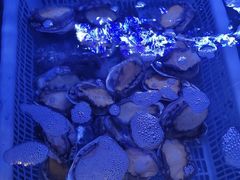 -七欣天香辣蟹火锅(上海银亿滨江店)