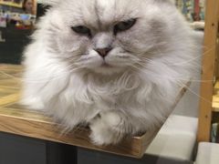 -小时光咖啡馆(开森度假森林店)