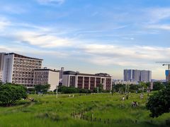 -红花山公园