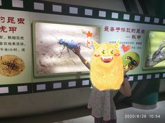 -上海昆虫博物馆