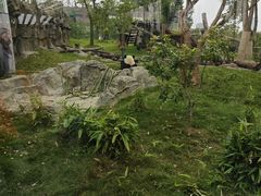 -武汉动物园