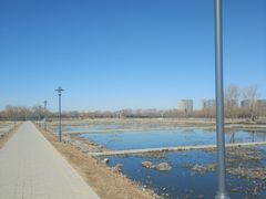 -大兴滨河森林公园