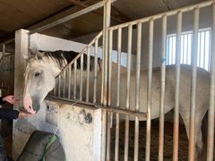 -月河湾马术俱乐部(朝阳店)