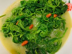 -食德喜·阳山鸡王食研基地