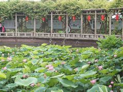 -广州莲花山旅游区