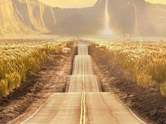 -上海外高桥汽车交易市场