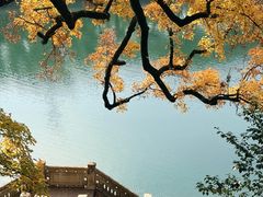 -蒋氏故居