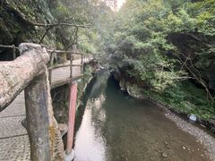 -石台牯牛降景区