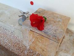 iphone_upload_pic-帝王SPA