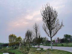 -安德鲁户外烧烤帐篷营地(马泉营店)