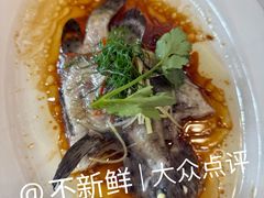 -有腥气私房菜·寻味顺德