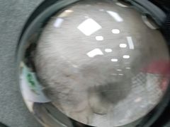 -美联众合动物医院(·中兽医·疑难杂症·严家桥分院)