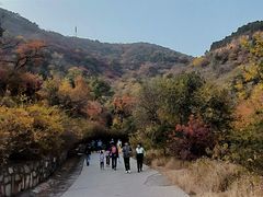 -北京西山国家森林公园