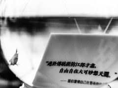 -知美术馆