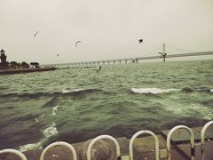 -星海广场