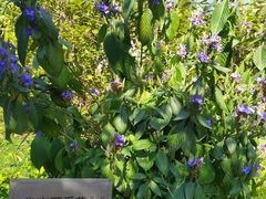 -广州神农草堂中医药博物馆